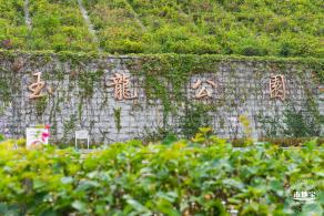 玉龙公园