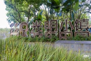 光明欢乐田园风光