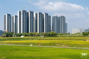 光明欢乐田园风光
