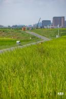 光明欢乐田园风光