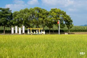光明欢乐田园风光