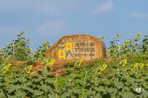 光明欢乐田园风光