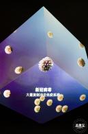人类疫苗博物馆