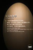 人类疫苗博物馆