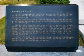 大夫第