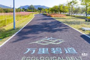 新大河湿地公园（粉黛乱子草）