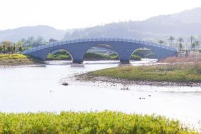 新大河湿地公园（粉黛乱子草）