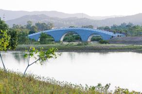 新大河湿地公园（粉黛乱子草）