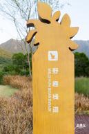 新大河湿地公园（粉黛乱子草）