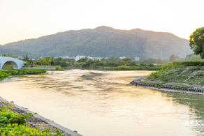 新大河湿地公园（粉黛乱子草）