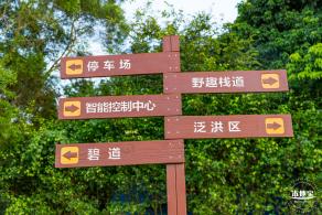 新大河湿地公园（粉黛乱子草）