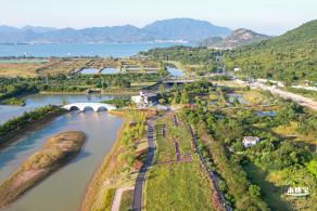 新大河湿地公园（粉黛乱子草）