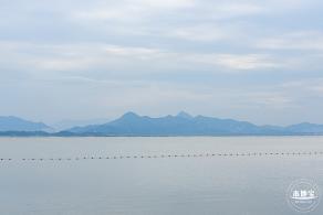 深圳湾公园
