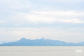深圳湾公园