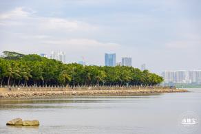 深圳湾公园
