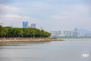 深圳湾公园