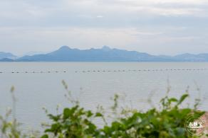 深圳湾公园