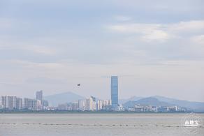 深圳湾公园