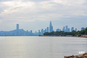 深圳湾公园