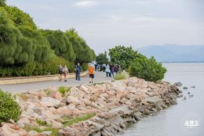 深圳湾公园