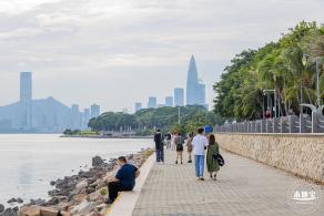 深圳湾公园