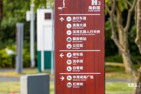 深圳湾公园