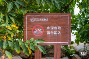 深圳湾公园