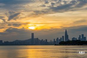 深圳湾公园