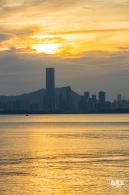 深圳湾公园