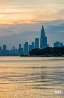 深圳湾公园