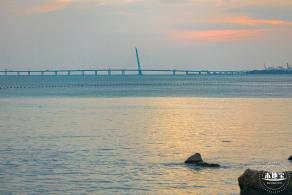 深圳湾公园
