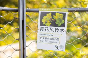 坪山儿童公园