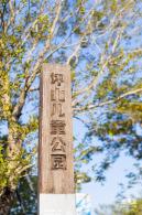 坪山儿童公园