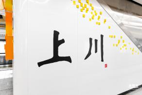 深圳地铁12号线