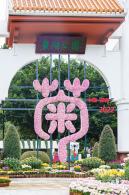 2022东湖公园菊花展