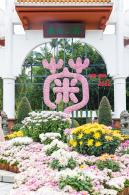 2022东湖公园菊花展