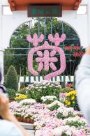2022东湖公园菊花展