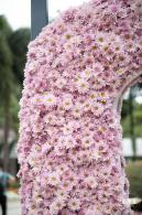 2022东湖公园菊花展