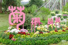 2022东湖公园菊花展