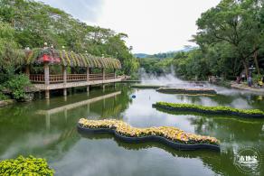 2022东湖公园菊花展
