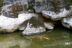 深圳水土保持科技示范园