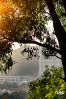 深圳水土保持科技示范园
