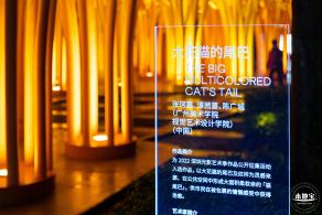 深圳光影艺术季
