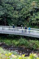 罗湖白色溪流栈道