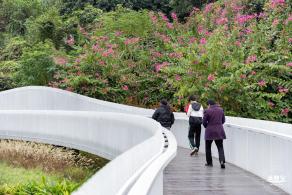 罗湖白色溪流栈道