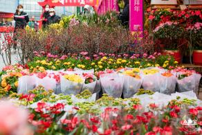 盐田花市