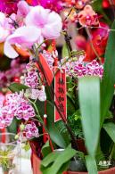 盐田花市