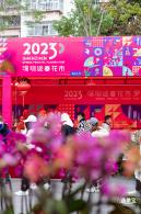 深圳迎春花市