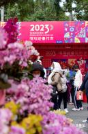 深圳迎春花市