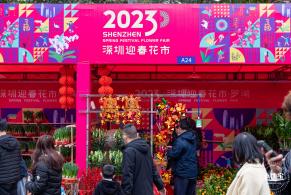 深圳迎春花市